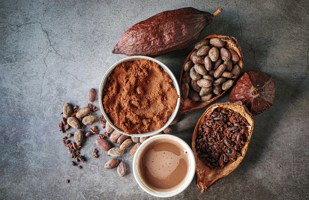 ココアパウダーとは？