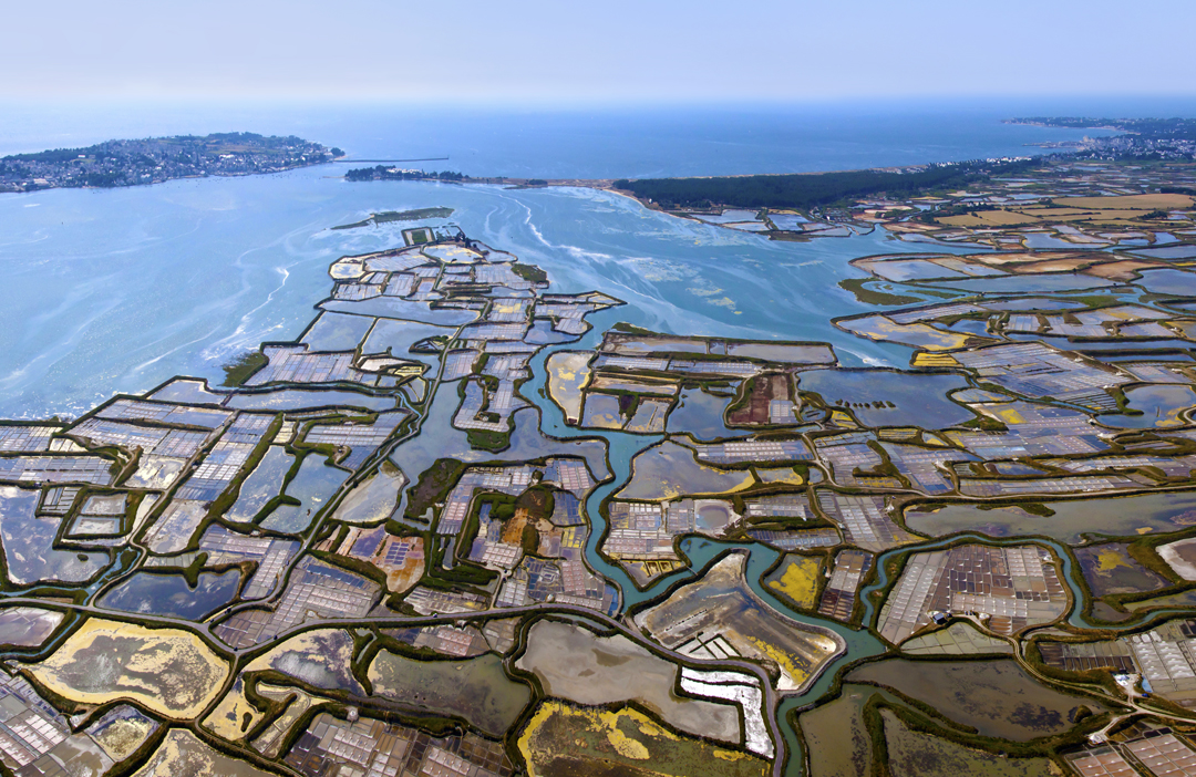 ゲランドの塩とは？