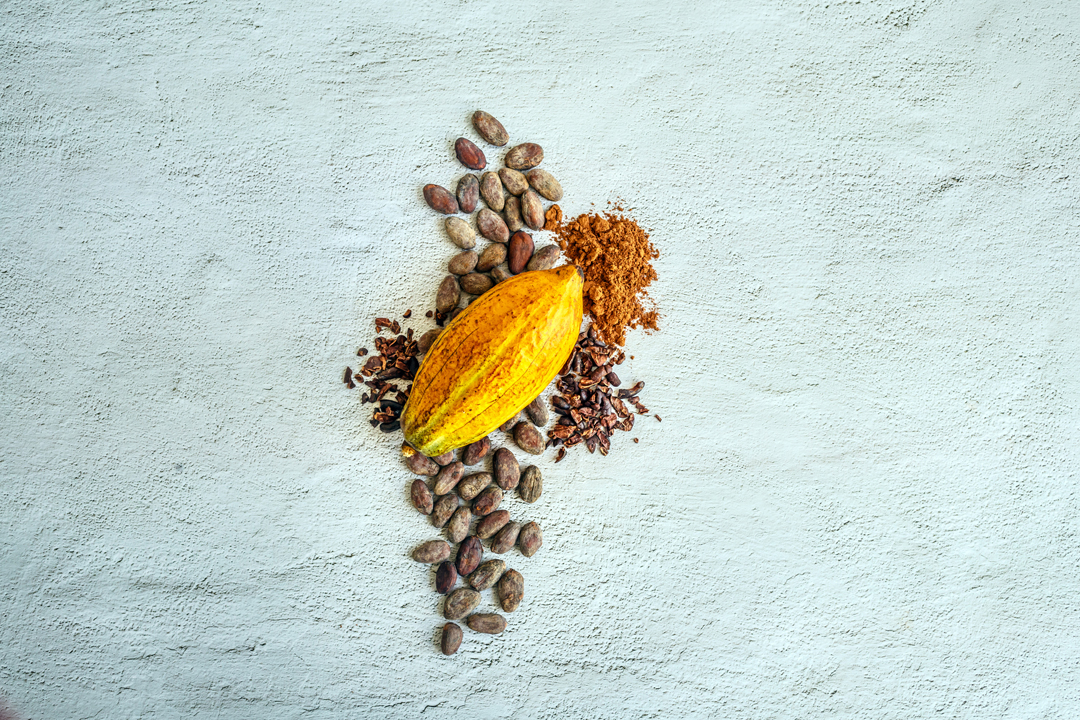 【好み別】おすすめのカカオ産地